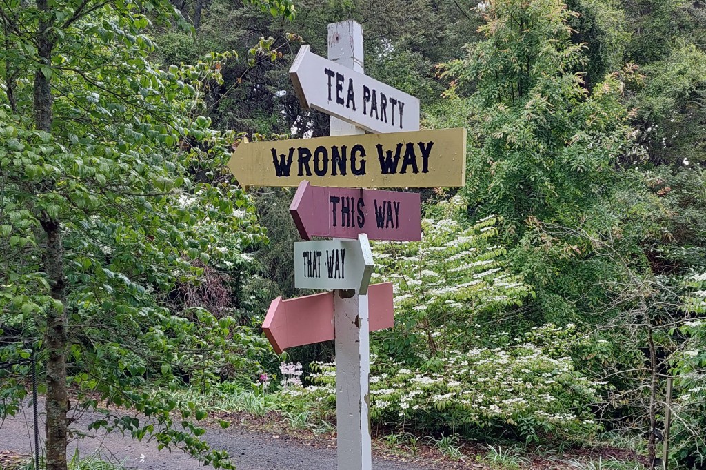 如何安全地進行職涯轉型?我的初次跨領域經驗